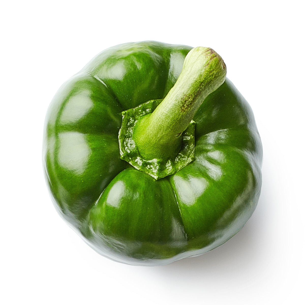 Content for Canopy Premium Shopify theme by Clean Canvas