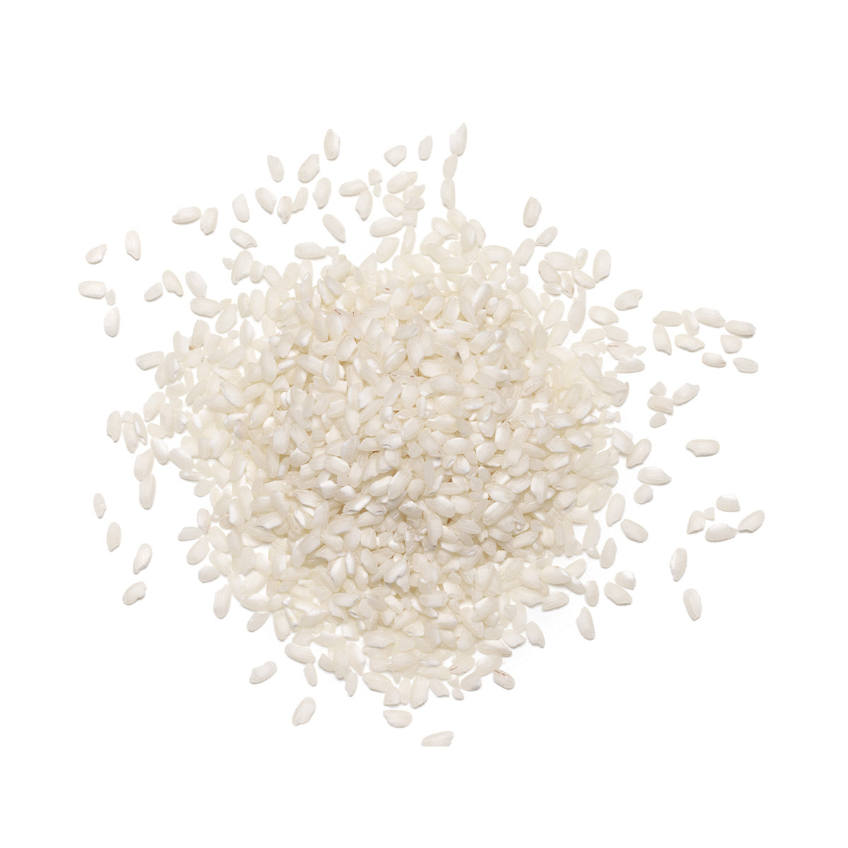 Content for Canopy Premium Shopify theme by Clean Canvas