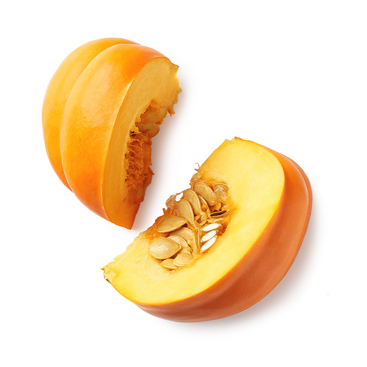 Content for Canopy Premium Shopify theme by Clean Canvas