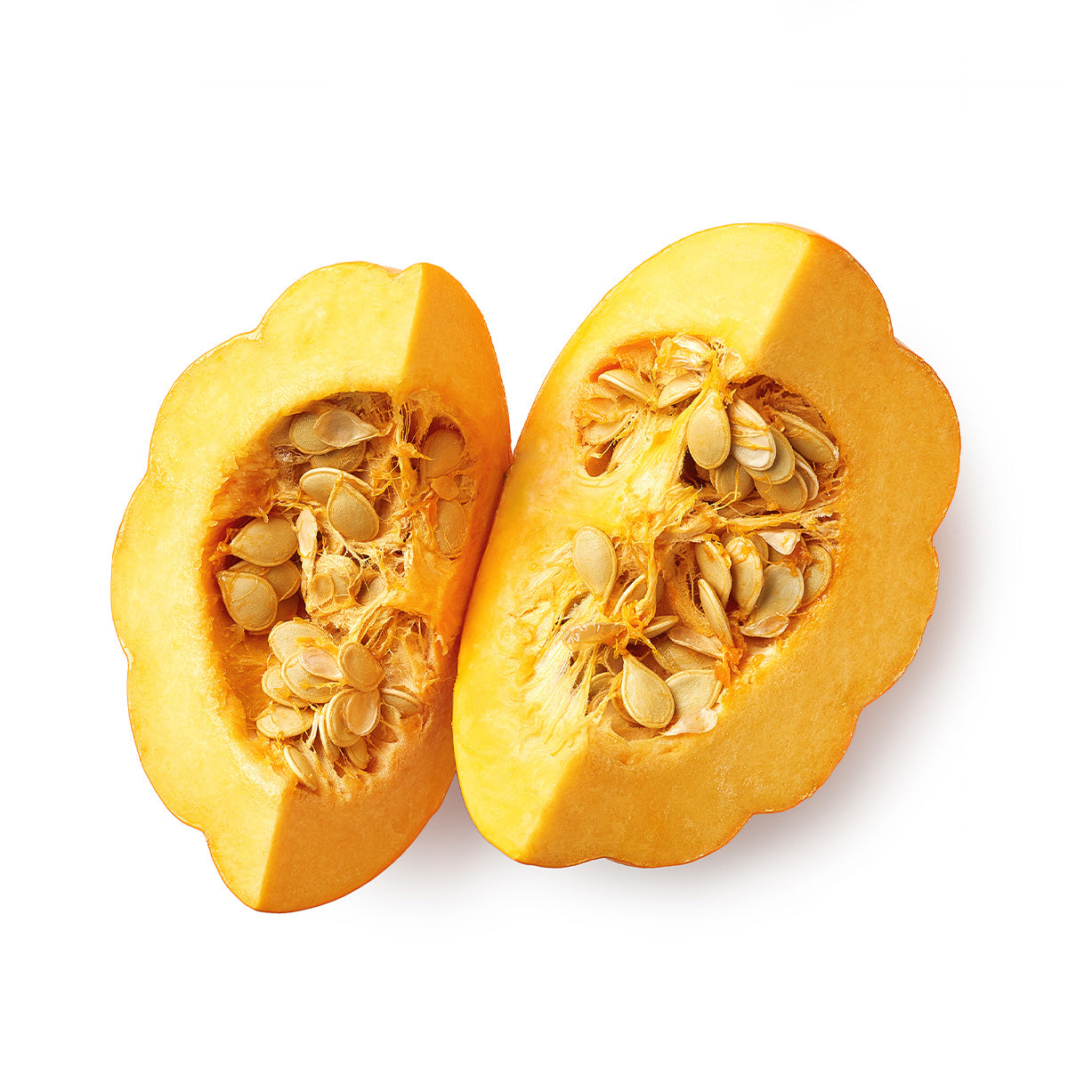 Content for Canopy Premium Shopify theme by Clean Canvas