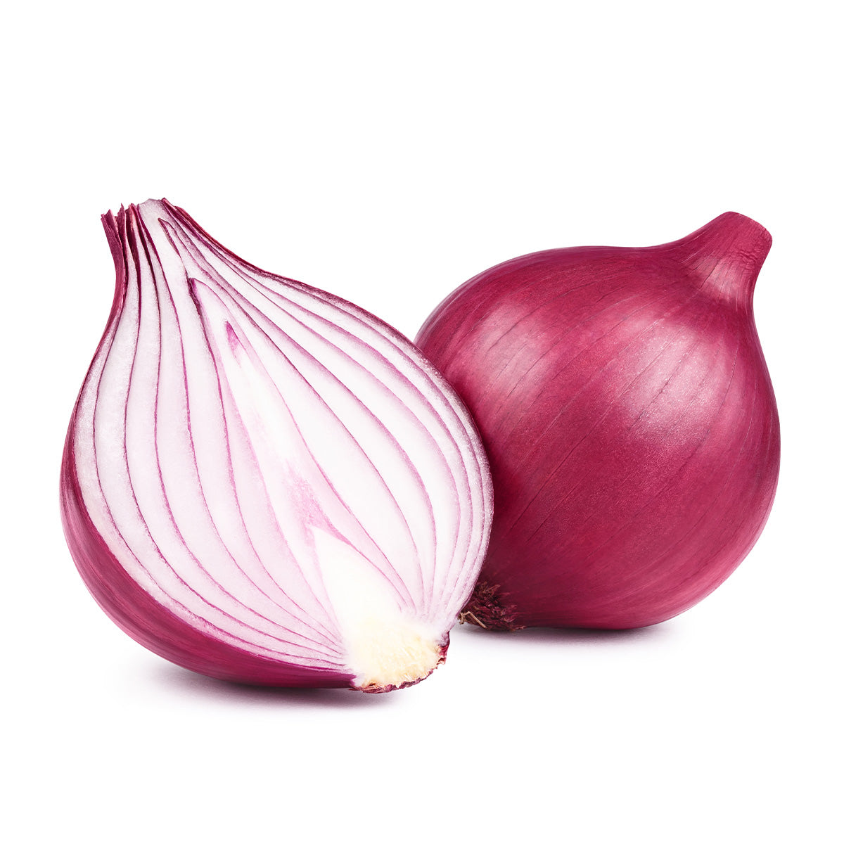 Content for Canopy Premium Shopify theme by Clean Canvas