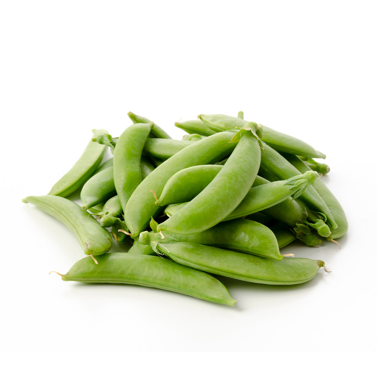 Content for Canopy Premium Shopify theme by Clean Canvas