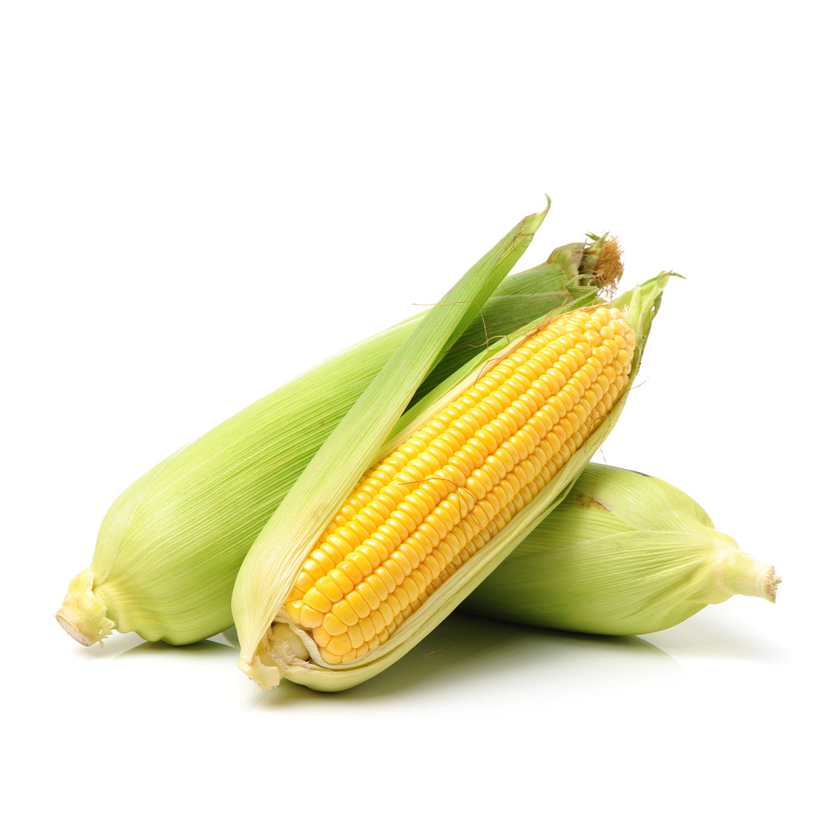 Content for Canopy Premium Shopify theme by Clean Canvas