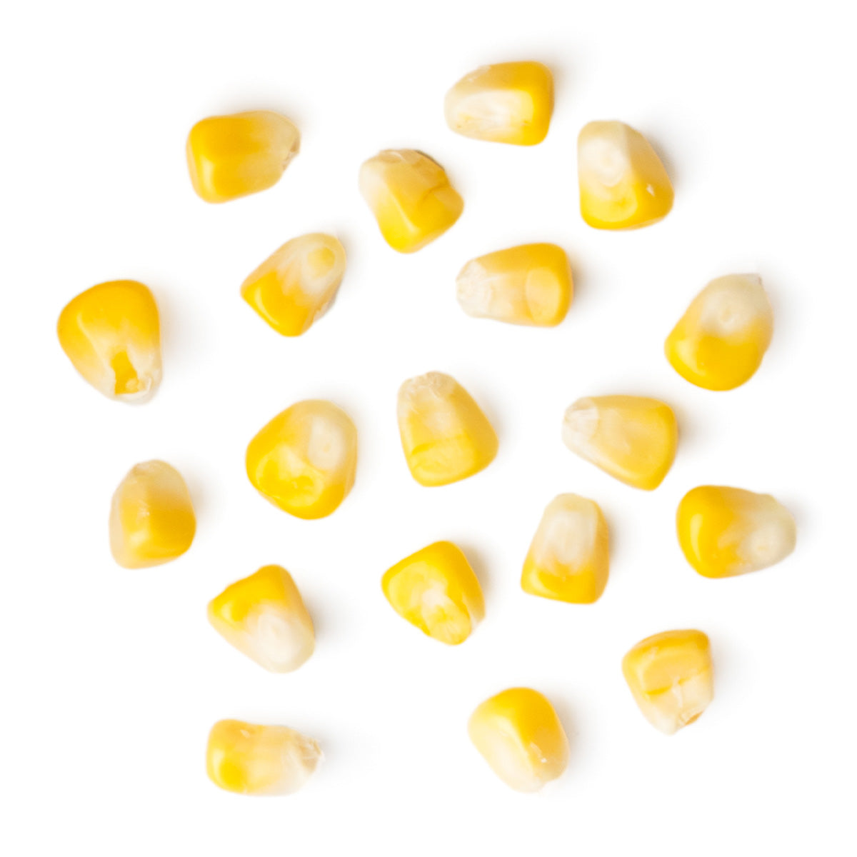 Content for Canopy Premium Shopify theme by Clean Canvas