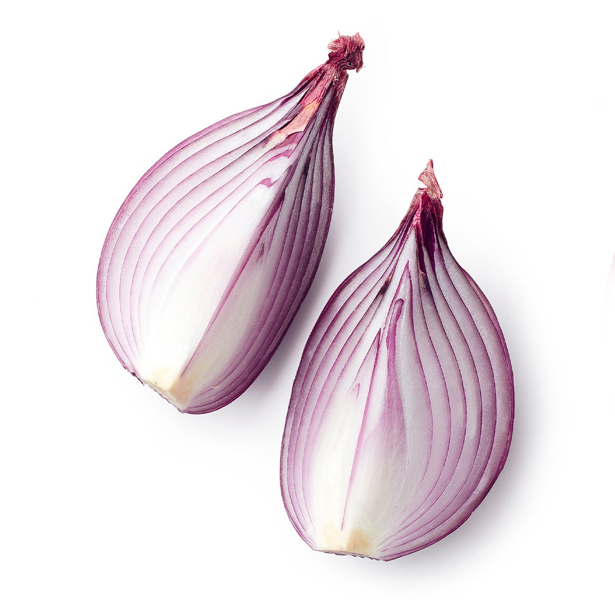 Content for Canopy Premium Shopify theme by Clean Canvas