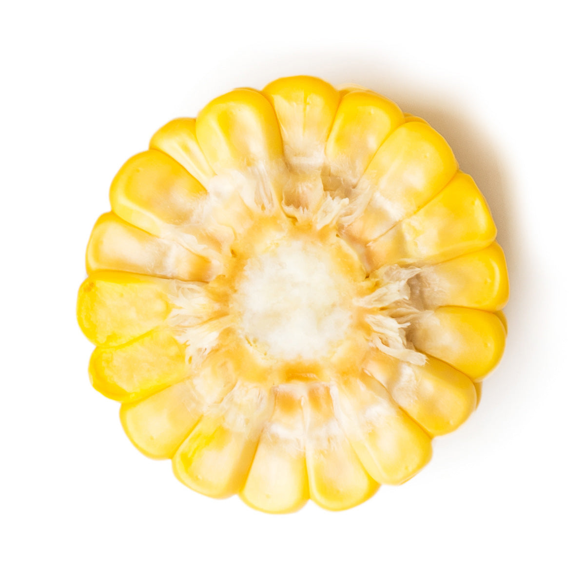 Content for Canopy Premium Shopify theme by Clean Canvas