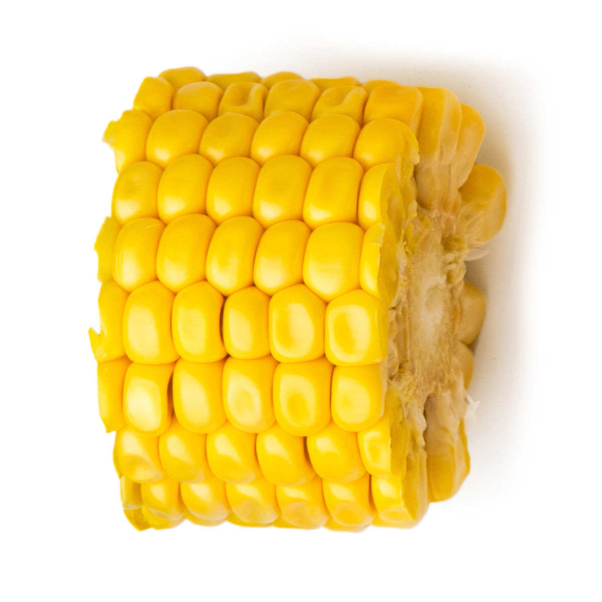 Content for Canopy Premium Shopify theme by Clean Canvas