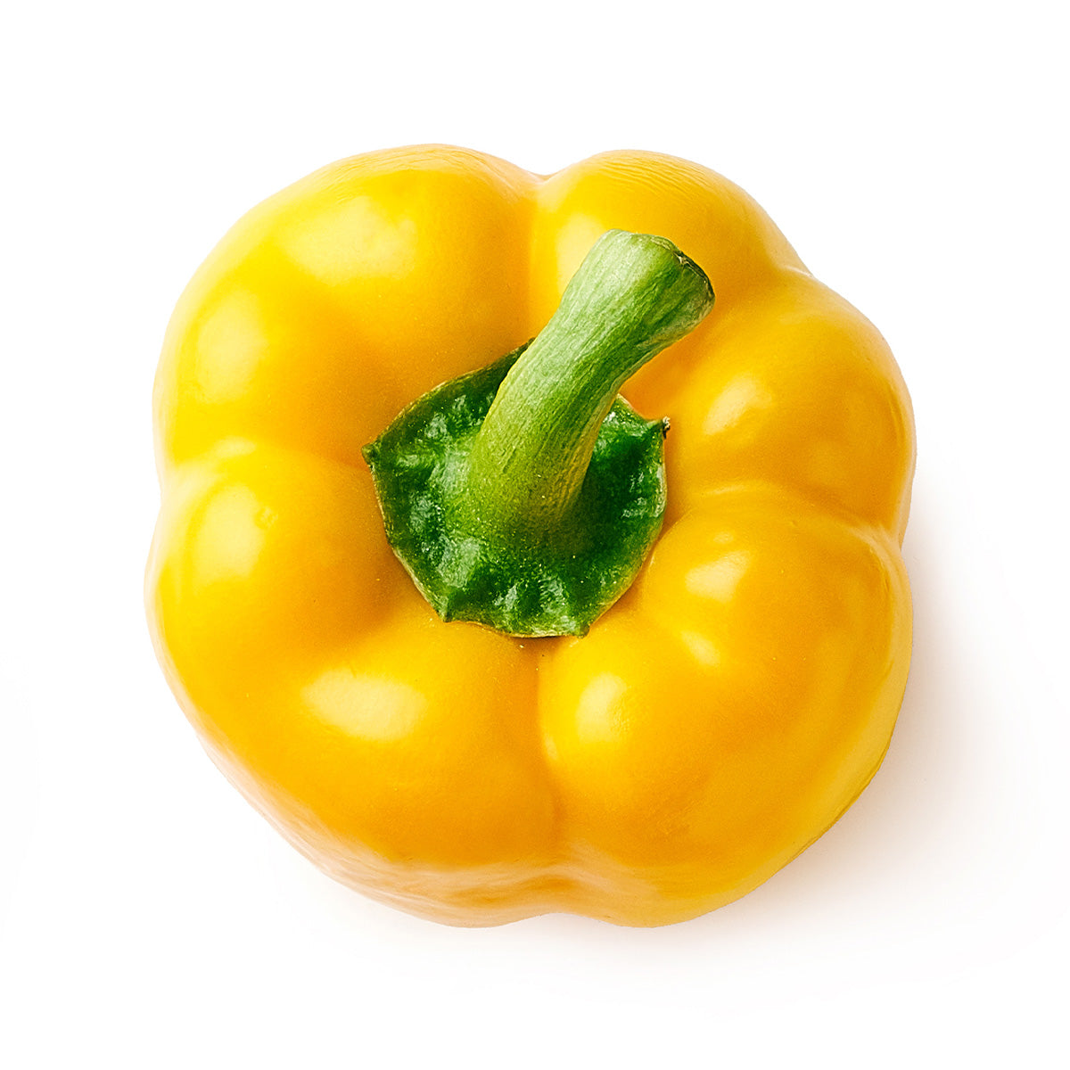 Content for Canopy Premium Shopify theme by Clean Canvas