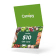 Content for Canopy Premium Shopify theme by Clean Canvas