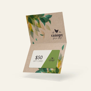 Content for Canopy Premium Shopify theme by Clean Canvas